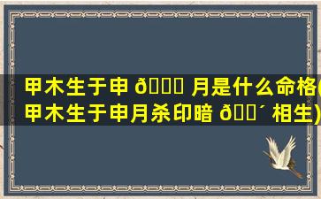 甲木生于申 🍀 月是什么命格(甲木生于申月杀印暗 🌴 相生)